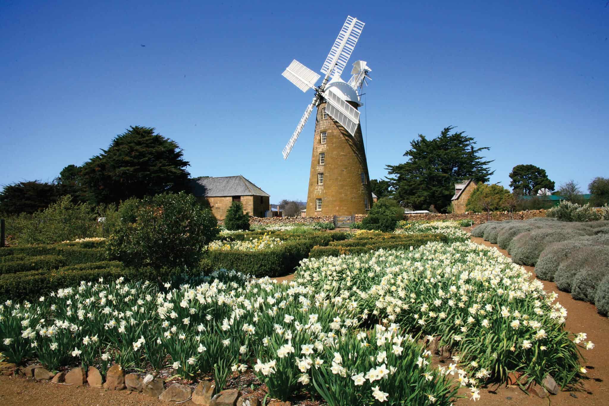 callington mill tourism tasmania pen taylor centre staff 115663
